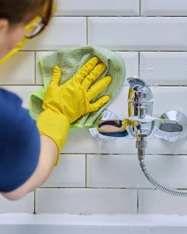 Bathroom Sanitization