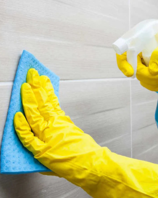 Bathroom Sanitization (2)