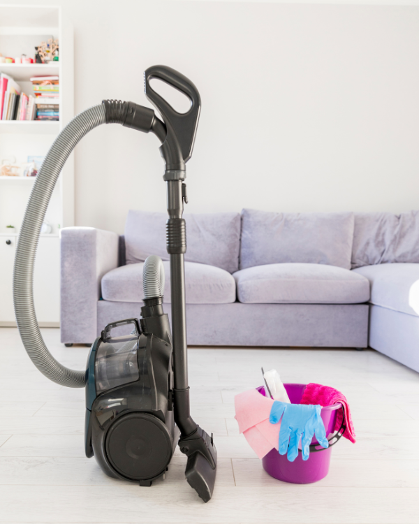 Dust Removal e Vacuuming (3)